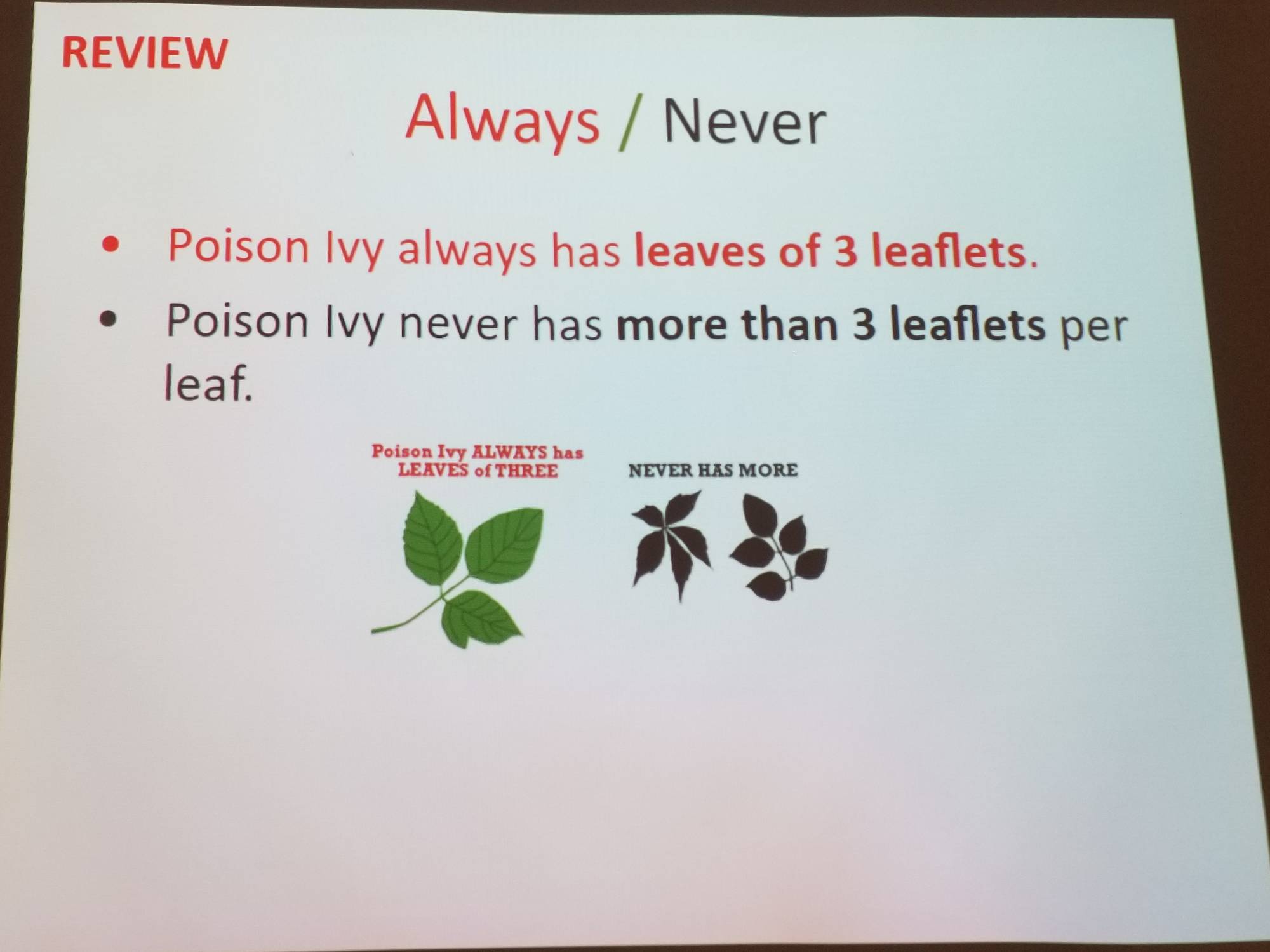 Poison ivy always has leaves of 3 leaflets. Poison ivy never has more than 3 leaflets per leaf.